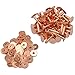 DGOL 50 Sets Shinning #12 Size 12 Red Copper Burrs Rivets Washers 9/16 inch (14mm) Long