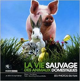 La Vie Sauvage Des Animaux Domestiques Le Livre Du Film En Photos Asj Documentaires French Edition Duhamel Muller Marie Pierre Perton Yves 9782742791040 Amazon Com Books