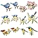 Iron On Patches, Satkago 12 Pcs Bird Embroidery Patches Appliques DIY Sew On Patches or Iron On Patches for Clothes Jackets Backpacks T-shirt Jeans Skirt Vests Scar Hat