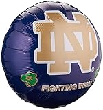 Anagram International University of Notre Dame Flat
