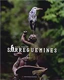Sarreguemines by 