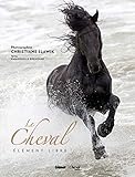Le cheval : Elément libre by 