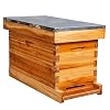 5 Frame Nuc Painted Premium Beehives For Sale in USA | Lappe's Bee Supply Honey Farm
