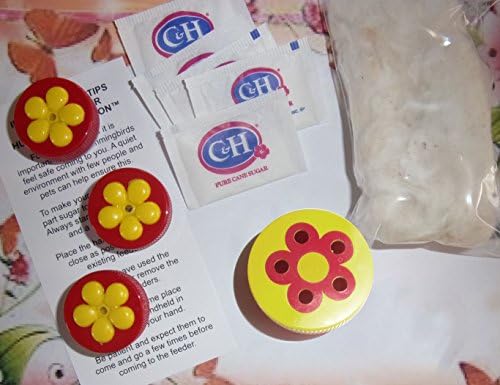 Amazing Bird Stuff 3 One Port + 1 Bonus Five Port Hummer Fun Button(tm) Hand Held Hummingbird Feeder Complete Kit