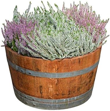 Las 6 Mejores Jardinera barrica para huertos | (Junio 2020) | Guía