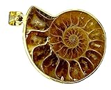 Gold Electroformed Ammonite Nautiloid Fossil