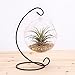 10L0L Charming Clear Hanging Glass Ball Vase Air Plant Terrarium Kit/Succulent Flowerpot Container w/Black Metal Stand (Big)