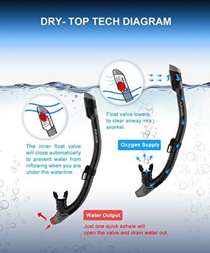 POPCHOSE Snorkel Mask Set Gear, Silicone Snorkeling Set for Adults and Youth, Foldable Snorkel Anti-Fog Anti-Leak… - Image 6