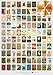 Movie Scratch Off Poster with Easy Scratch Off Vintage Gold Layer - Top 100 Movies of All Time Bucket List (17 x 24) - Premium Wall Decor for Movie Lovers