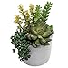 MyGift 7-Inch Artificial Succulent Plant Arrangement in Cement-Tone Planter