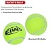 Gamma Sports Bag of Pressureless Tennis Balls - Sturdy & Reuseable Mesh Bag for Easy Transport - Bag-O-Balls (12-Pack or 18-Pack of Balls)