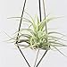 Wall Freestanding Hanging Metal Triangular Shape Tillandsia Air Plant Holder Rack Geometric Himmeli Sculpture Bronze Color (HEIGHT 9.8 inches) No Plants