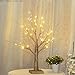Bolylight LED Table Lamp Birch Money Tree Holder Night Light Centerpieces Great Decoration for Home/Christmas/Party/Festival/Wedding, 1.5ft Gold
