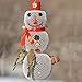 Perky-Pet SW00354 Snow Woman Wild Bird Seed Feeder