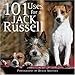101 Uses for a Jack Russell