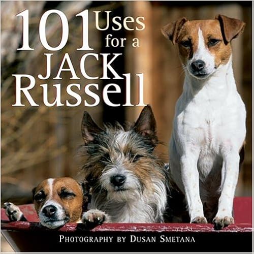 101 Uses for a Jack Russell �n�[�h�J�o�[  - 2004/10/1