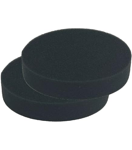 Amazon.com: HQRP Hepa Filter 2-Pack compatible with Eureka HF-16