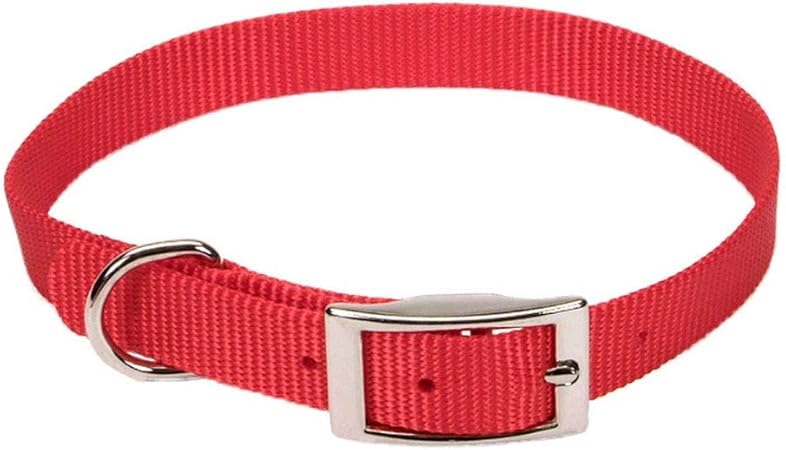 best collar color for a red dog