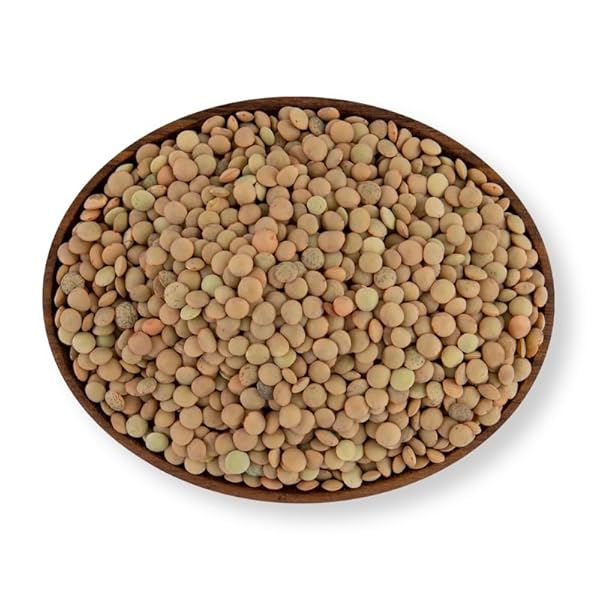 VERDE VALLE LENTIL 1LB (PACK OF 1)
