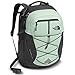 The North Face Women's Borealis School Laptop Backpack, Subtle Green/Asphalt Grey (Past Season), One Size