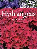 Hydrangeas by Glyn Church, Pat Greenfield