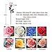 10 Pcs Real Touch Silk Artificial Rose Flowers Silk Gluing PU Fake Flower Home Decorations for Wedding Party or Birthday Garden Bridal Bouquet Flower Saint Valentine's Day Gifts Party Event(White)