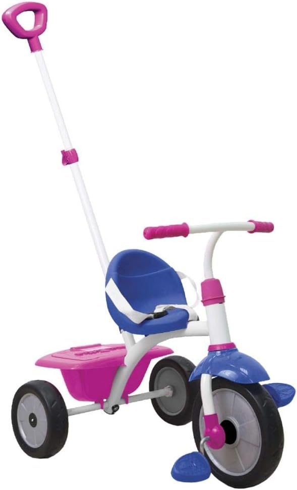 smart trike fun 2 in 1