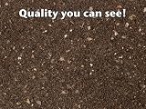 Growth Technology Cactus Focus Repotting Mix 8L for Cacti & Succulents view 4