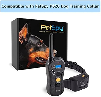 tri color collie puppies for sale