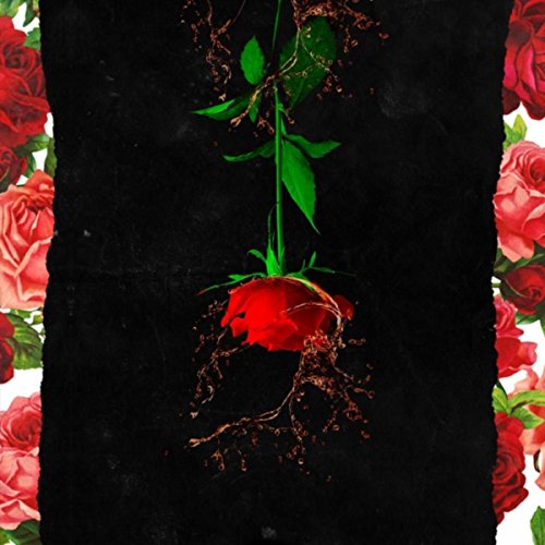 Cognac & Roses [Explicit]