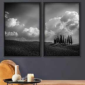 signwin 2 Piece Framed Canvas Wall Art Misty...