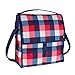 PackIt Freezable Picnic Bag with Zip Closure, Buffalo Check