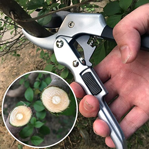 KeRui Pruning Shears 8'' Professional SK-5 Steel Blade Sharp Anvil Garden Shears Less Effort Hand Pruners with Safety Lock