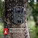 Victure Trail Game Camera 16MP 1080P Full HD with Night Vision Motion Activated Waterproof IP66 Wildlife Camera No Glow Infrared with for Hunting and Wildlife Watching