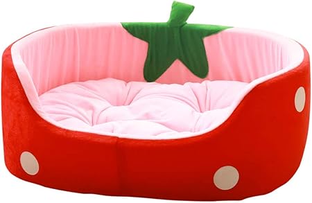 strawberry dog bed