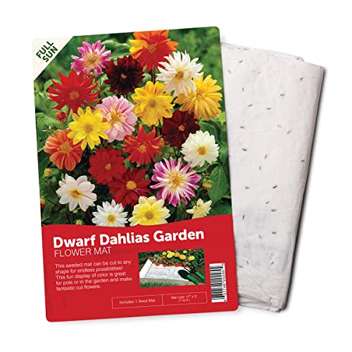 BloomingBulb Seed Mat - Easy to Plant and Grow Garden Seeds - Creates Fragrant,…
