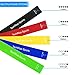 TechRise Resistance Bands, Set of 5 Natural Latex Fitness Bands for Workout and Physical Therapy, Pilates, Yoga, Rehab, Improve Mobility and Strength