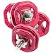 Dumbbells Set with 30lb Weight Plates: BodyRock Free Weights Home Gym Equipment - Dumbbell Sets with Two Solid Steel Threaded Dumbbell Handles and Collars, Four 5 lb Weights and Four 2.5 lb Weights