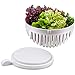 New Salad Maker Bowl, Dual Use 60 Seconds Vegetable or Fruit Cutter Bowl Easy Salad Slicer Salad Chopper