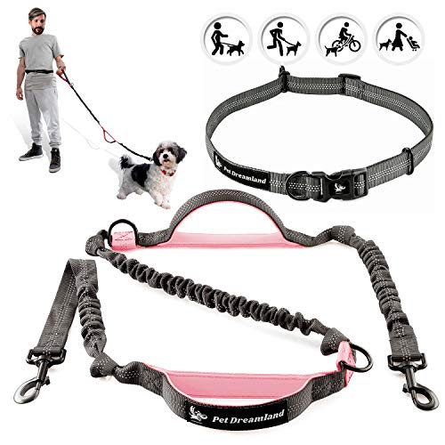 long bungee dog lead