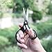 Booms Fishing S1 Braided Line Scissors Combo