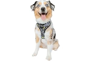 Sassy Woof Dog Adjustable Harness - Batman™ - M, Breathable Mesh, No Pull Design with Two D-Rings, Patented Design, Perfect for Medium Dogs - Officially Licensed