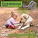 LORDDDON Flea and Tick Prevention Collar One Size Fits All Dogs and Cats Flea and Tick Control with Adjustable Design