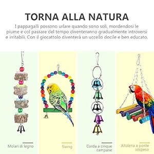 Zacro Giochi per Uccelli pappagalli, 7 Pezzi Giocattoli da Masticare, Giocattoli a Campana, per Animali di Piccola… Zacro Zacro Giochi per Uccelli pappagalli, 7 Pezzi Giocattoli da Masticare, Giocattoli a Campana, per Animali di Piccola…
