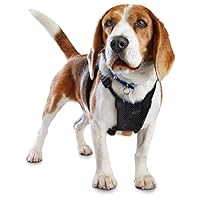 Good2Go Black No Pull Dog Harness, Medium