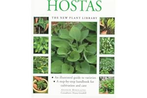 Hostas