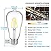 MAXvolador Edison Bulb, Dimmable Vintage LED Filament Light Bulbs Daylight White 5000K, 4W ST64 LED Lights 40W Equivalent, E26 Base, Pack of 12