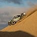 Losi DBXL-E 1/5 Scale 4WD RC Desert Buggy BL Electric RTR with DX2E 2.4GHz Radio Tx and 4-Ch DSMR AVC Receiver (Battery and Charger Not Included), LOS05012T2 (Grey/Blue)