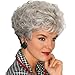 ELIM Gray Wigs for White Women Short Curly Ladies Wig Full Synthetic Hair Wigs with Wig Cap (Silver Gray) Z151