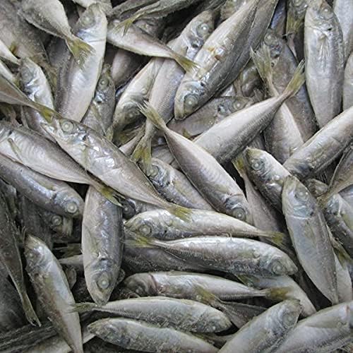 Amazon 伊勢志摩産 無塩 豆あじ 稚あじ Iqf 8kg 干物丸干しの角助屋 鮮魚 通販 Amazon 伊勢志摩産 無塩 豆あじ 稚あじ Iqf 8kg 干物丸干しの角助屋 鮮魚 通販